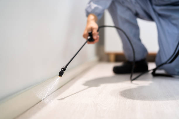 Rodent Entry Point Assessment in Centerville