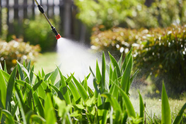 Tamper-Resistant Bait Stations for Rodents in Centerville