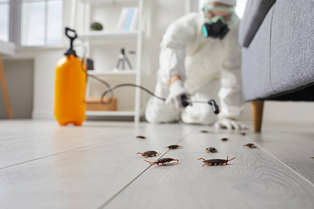 Commercial Rodent Management in Centerville